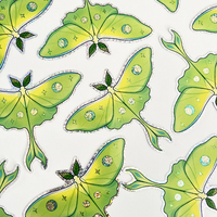 Moon Dust Moth - Thumbnail 1