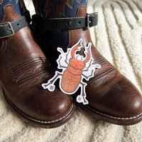 Cowboy Boot Beetle - Thumbnail 1