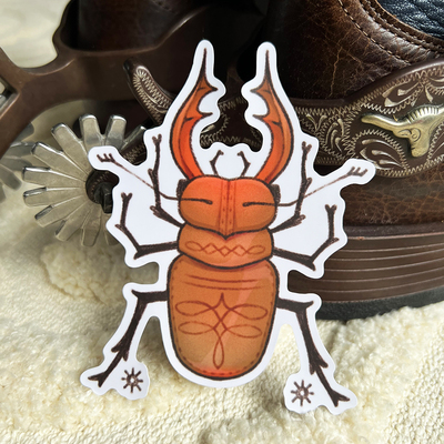 Cowboy boot beetle