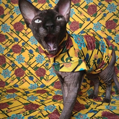 Marigold bloom - activewear