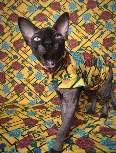 Marigold Bloom - Activewear