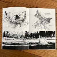 The Sharkbook - Thumbnail 4