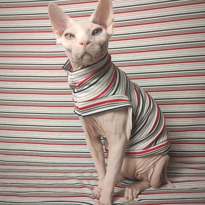 Red line - ribbed for her pleasure 