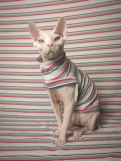 Red Line - Ribbed For Her Pleasure 