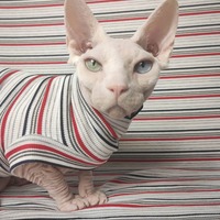 Red Line - Ribbed For Her Pleasure  - Thumbnail 1