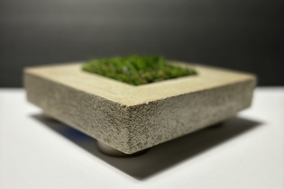 Fingerboard obstacles