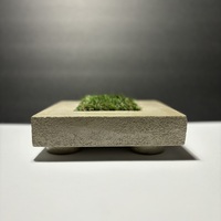 Deluxe Planter - Thumbnail 1