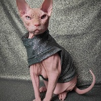 Gold Splatter  - Thumbnail 1