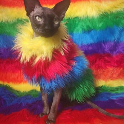 Pride vegan fur