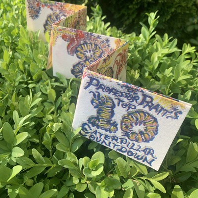 Top 10 caterpillar countdown