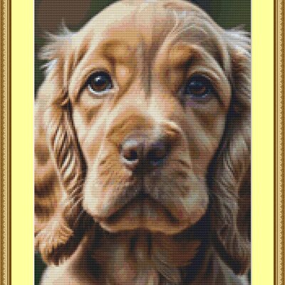 Cocker spaniel cross stitch pattern