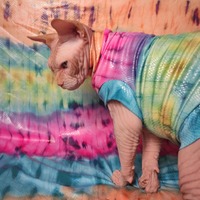 Python Pride - Thumbnail 1