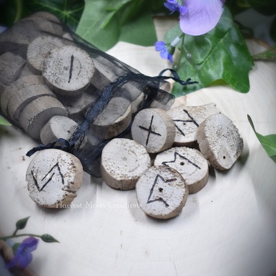 Driftwood 25 piece elder futhark rune set