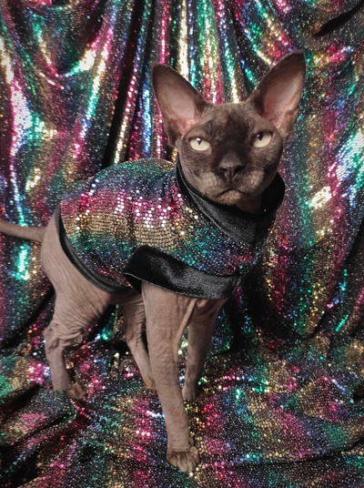 Sparkling Personality (Pride)