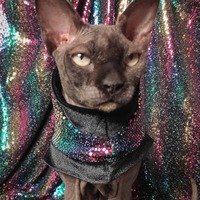 Sparkling Personality (Pride) - Thumbnail 2