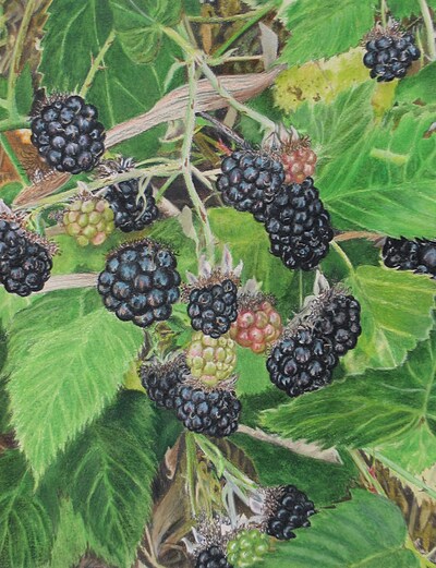 "Blackberries" Nature Inspired Artwork By N.E.Thompson, Art Print