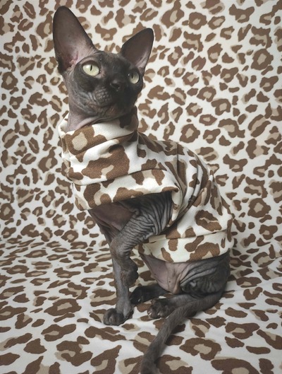 Big Cat - Sweaterknit 