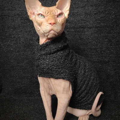 Black bean - chenille 