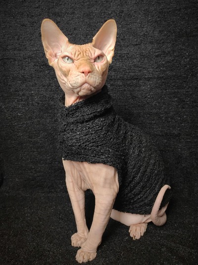 Black Bean - Chenille 