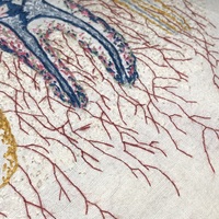 Wisdom Teeth - Thumbnail 7