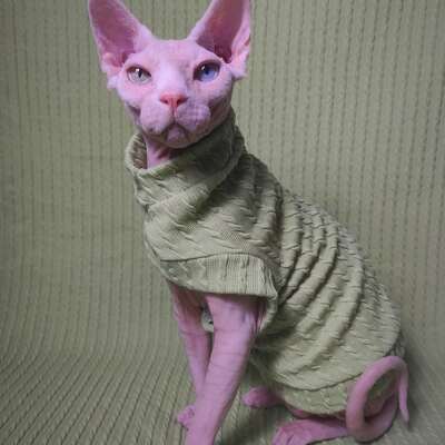 Matcha cable knit - sweaterknit 