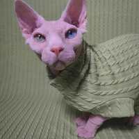 Matcha Cable Knit - Sweaterknit  - Thumbnail 2