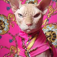 Pink Opulence - Sleepwear - Thumbnail 1