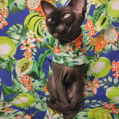 Tropical fruit (blue) - sleepwear - Thumbnail 5