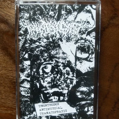 Thanatopsis - unorthodox antimusical thanatopraxis 