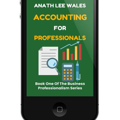 Accounting for professionals by anath lee wales