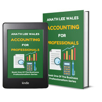 ACCOUNTING FOR PROFESSIONALS by ANATH LEE WALES - Thumbnail 3