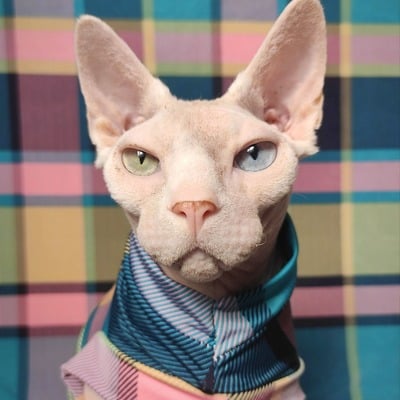 Summertime plaidness - sleepwear - Thumbnail 2