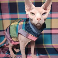 Summertime Plaidness - Sleepwear - Thumbnail 2