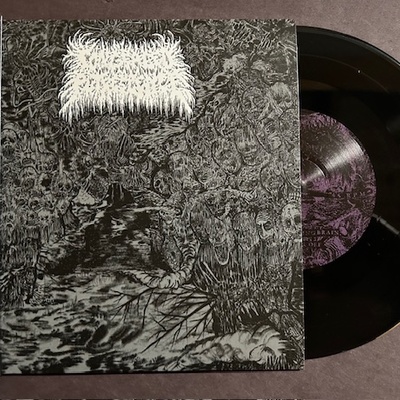 Congealed putrescence - within the ceaseless murk (7 inch vinyl)