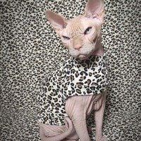 Little Cat - Sleepwear - Thumbnail 1