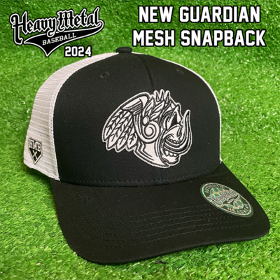 New guardian mesh snapback