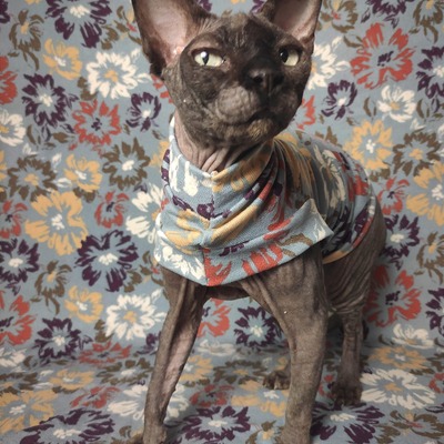 Painted flowers - sweaterknit 