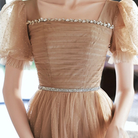 Brown Tulle Short Sleeve Party Dress - Thumbnail 1