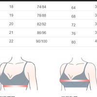 Gothic Golden Wings Bustier Warhead Wolf-Poof V-neck Punk Crop Top Corset - Thumbnail 7