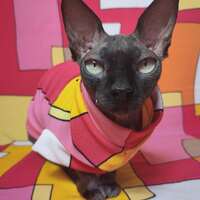 Summertime Overlap - Thumbnail 1