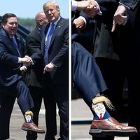 Trump Hair Socks Navy 1 Pair Funny Trump Socks Unisex Socks Novelty President Trump Hair Socks Trump Merchandise Gift - Thumbnail 2