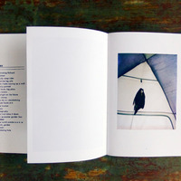 The Heat Takes It Down, Helen Jones - Thumbnail 1