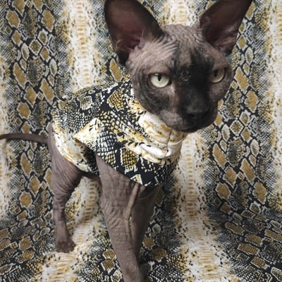 Golden snake - sleepwear - Thumbnail 3