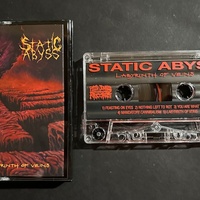 STATIC ABYSS - Labyrinth of Veins - Thumbnail 1
