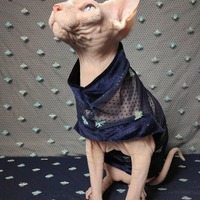 Buzz Off - Lace - Thumbnail 1