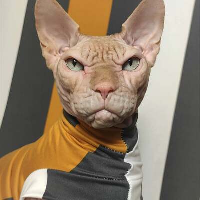 Big top - sleepwear - Thumbnail 3