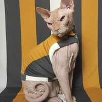 Big Top - Sleepwear - Thumbnail 1