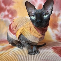 Endless Summer - Thermal - Thumbnail 1