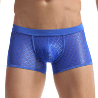 Wholesale Mens Sexy Underwear Lingerie Mesh Gauze Low-rise Translucent Boxer Briefs MJ1801 - Thumbnail 4