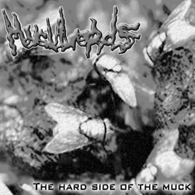 Cd: muculords/fahrenheit agx "split" - Thumbnail 3